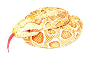 Peluche Python Doré